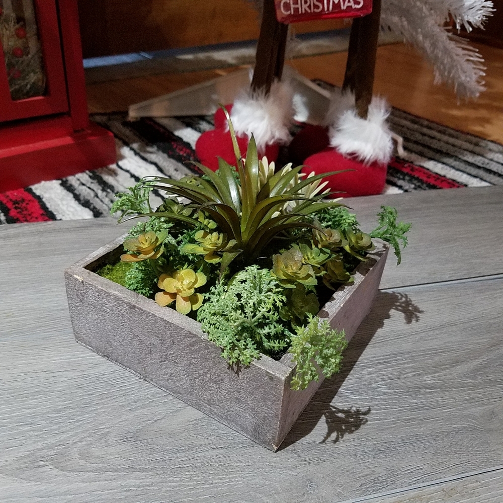Cactus Wall Hanging Decor